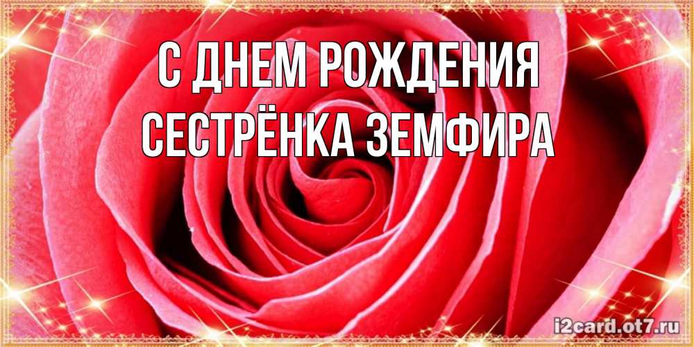 Открытка на каждый день с именем, Сестрёнка-Земфира С днем рождения розовая роза очень крупный бутон Прикольная открытка с пожеланием онлайн скачать бесплатно 