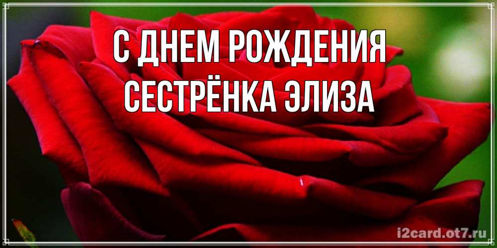 Открытка на каждый день с именем, Сестрёнка-Элиза С днем рождения розочка очень красивая Прикольная открытка с пожеланием онлайн скачать бесплатно 