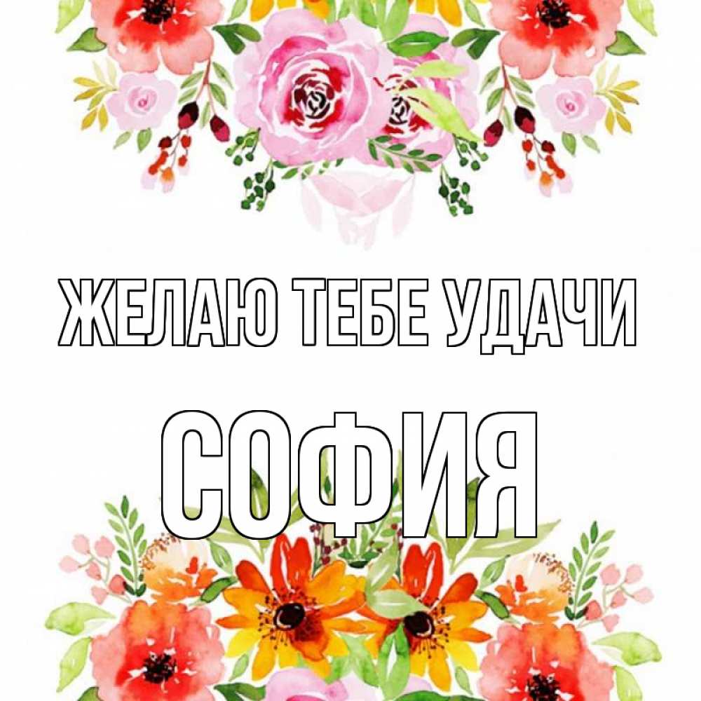 Открытка на каждый день с именем, София Желаю тебе удачи открытка с цветами акварелью Прикольная открытка с пожеланием онлайн скачать бесплатно 