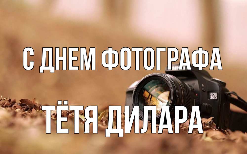Открытка на каждый день с именем, Тётя-Дилара С днем фотографа с днем фотографа Прикольная открытка с пожеланием онлайн скачать бесплатно 