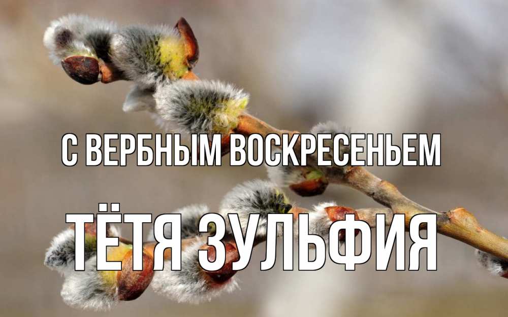 Открытка на каждый день с именем, Тётя-Зульфия С вербным воскресеньем Верба Прикольная открытка с пожеланием онлайн скачать бесплатно 