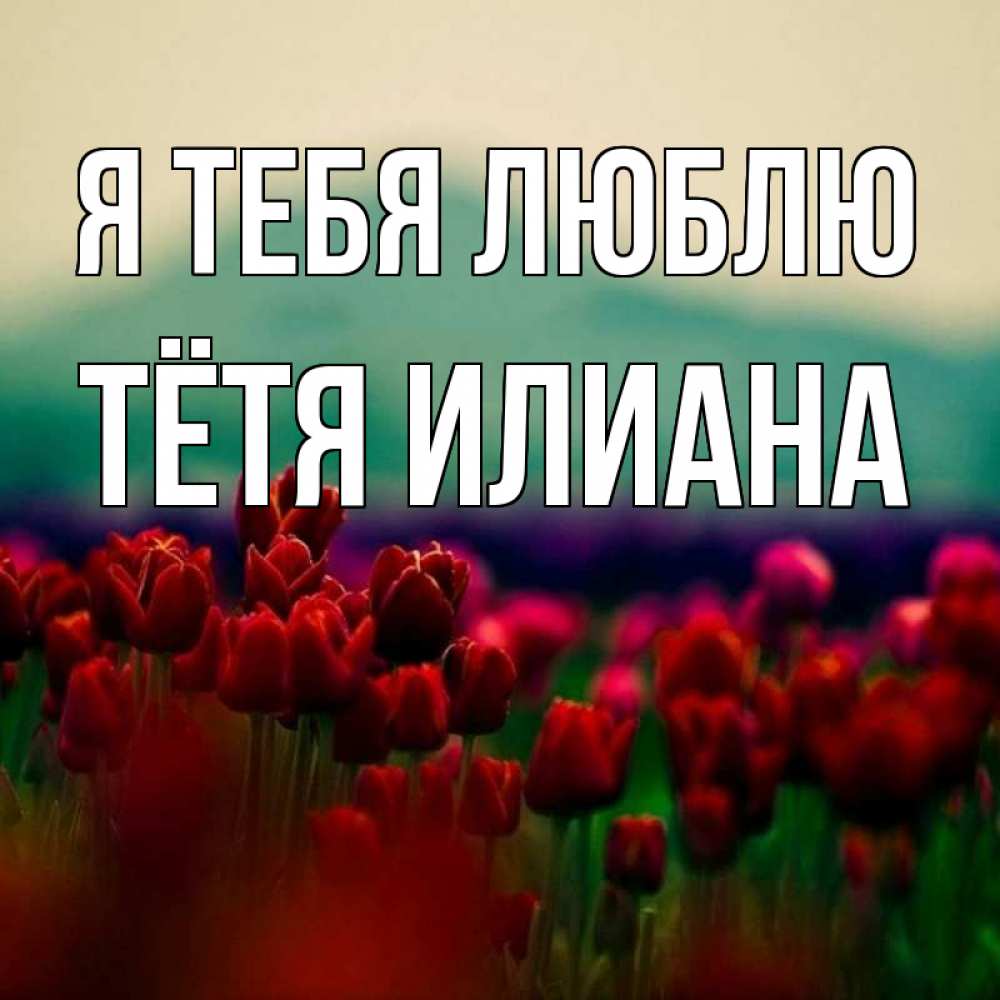 Открытка на каждый день с именем, Тётя-Илиана Я тебя люблю тюльпаны 4 Прикольная открытка с пожеланием онлайн скачать бесплатно 