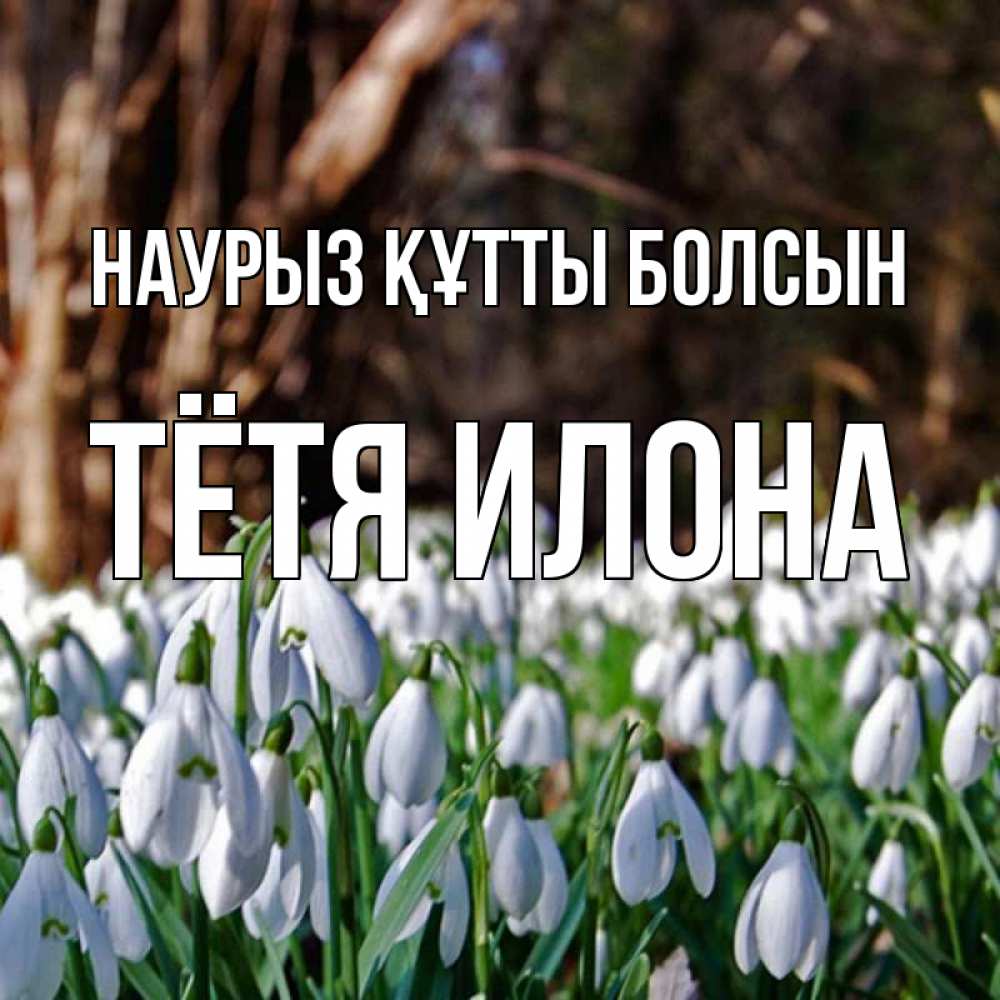 Открытка на каждый день с именем, Тётя-Илона Наурыз құтты болсын с подснежниками 1 Прикольная открытка с пожеланием онлайн скачать бесплатно 