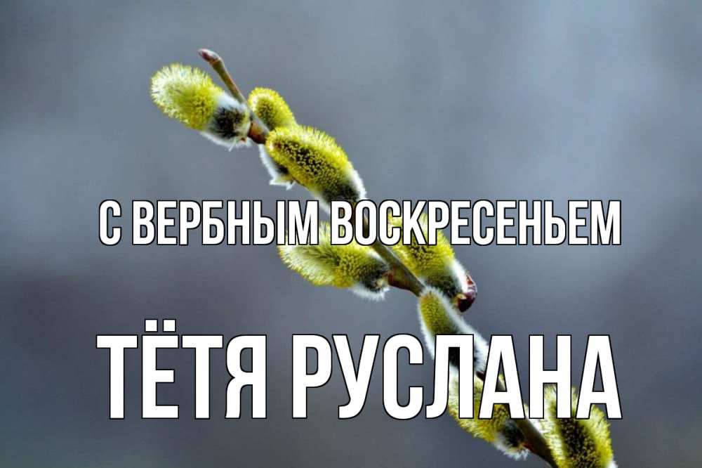 Открытка на каждый день с именем, Тётя-Руслана С вербным воскресеньем верба Прикольная открытка с пожеланием онлайн скачать бесплатно 