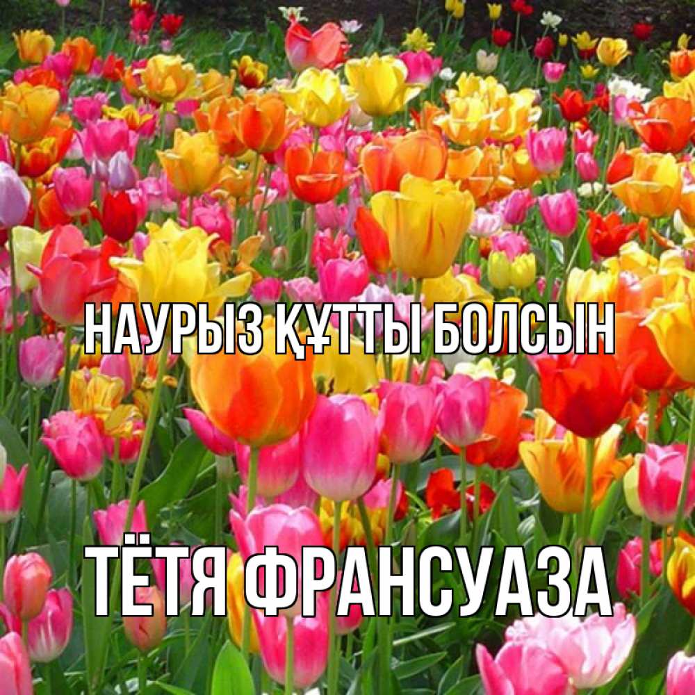 Открытка на каждый день с именем, Тётя-Франсуаза Наурыз құтты болсын на наурыз  ура ура Прикольная открытка с пожеланием онлайн скачать бесплатно 