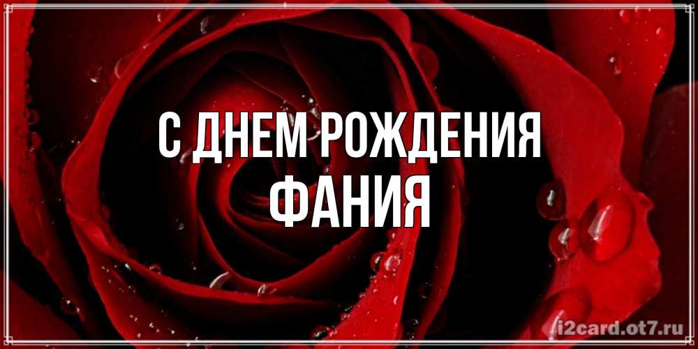 Открытка на каждый день с именем, Фания С днем рождения крупная бордовая роза Прикольная открытка с пожеланием онлайн скачать бесплатно 