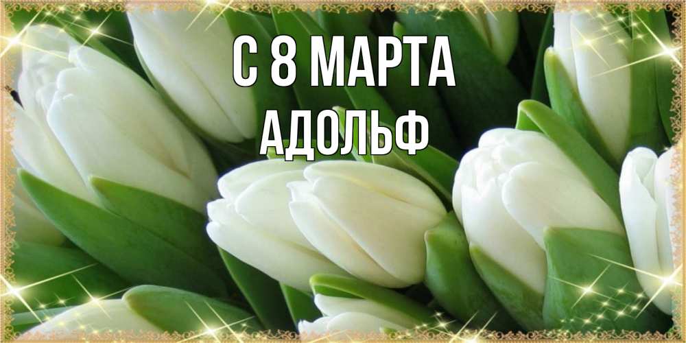 Открытка на каждый день с именем, Адольф С 8 МАРТА поздравляем с 8 марта Прикольная открытка с пожеланием онлайн скачать бесплатно 