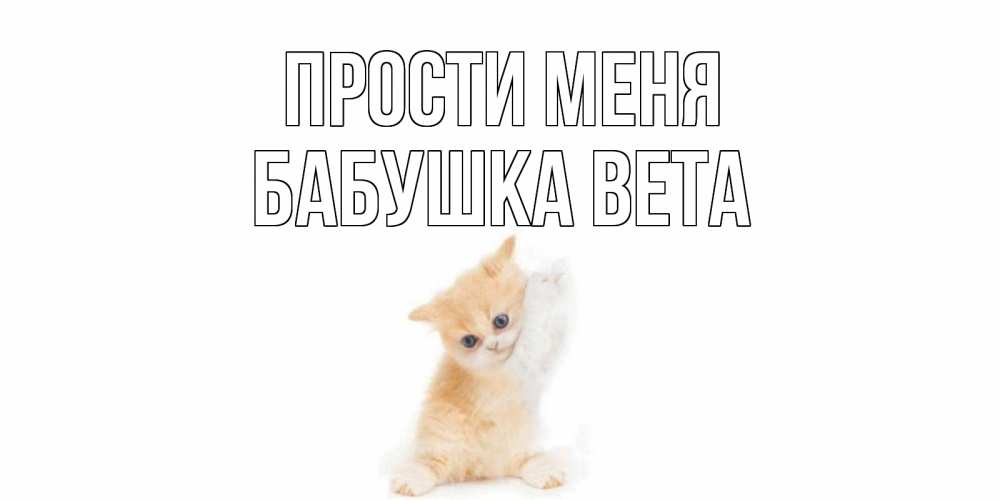 Открытка на каждый день с именем, Бабушка-Вета Прости меня кот Прикольная открытка с пожеланием онлайн скачать бесплатно 