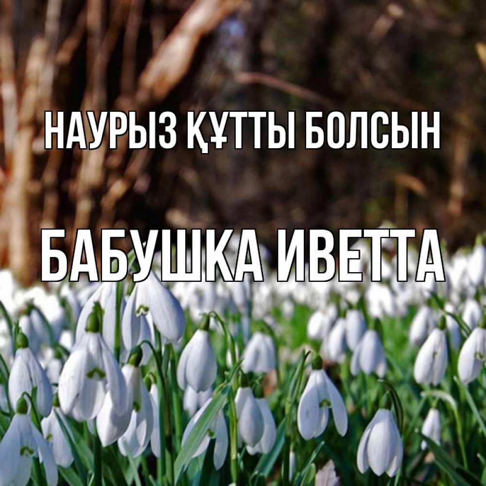 Открытка на каждый день с именем, Бабушка-Иветта Наурыз құтты болсын с подснежниками 1 Прикольная открытка с пожеланием онлайн скачать бесплатно 