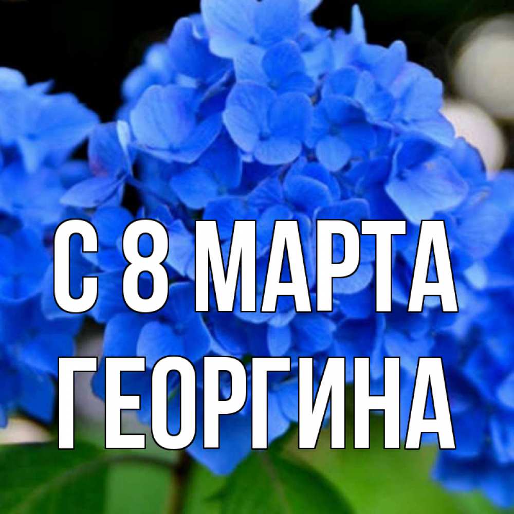 Открытка на каждый день с именем, Георгина С 8 марта синие цветы Прикольная открытка с пожеланием онлайн скачать бесплатно 