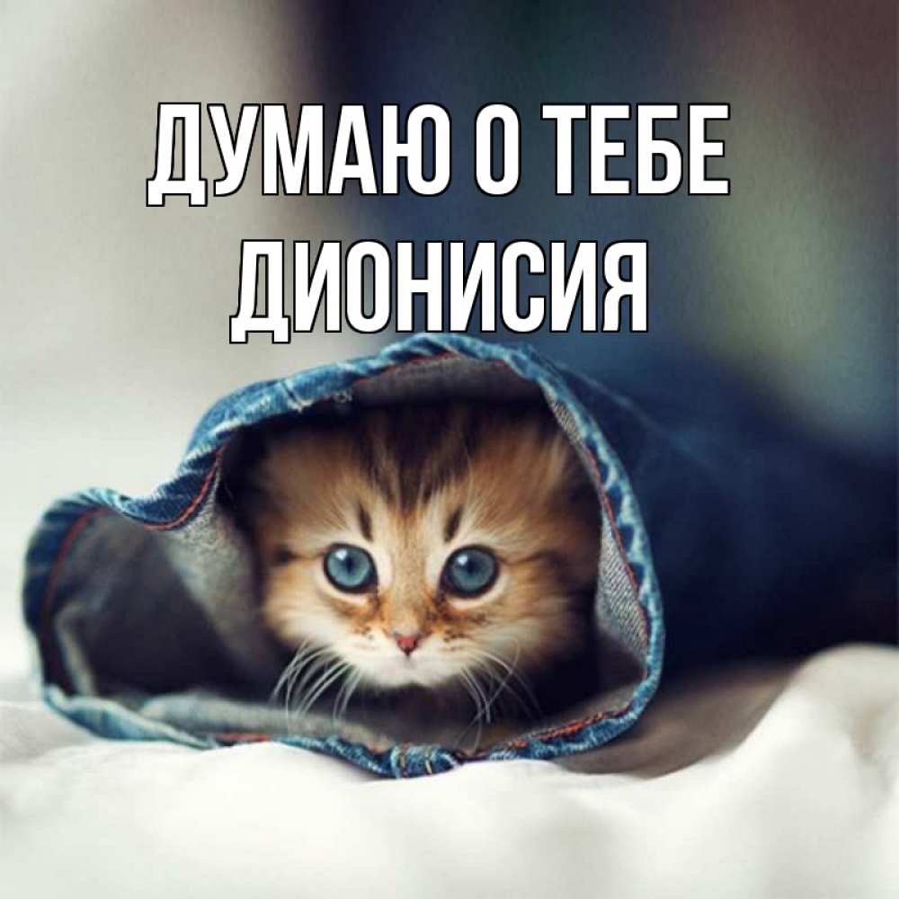 Открытка на каждый день с именем, Дионисия Думаю о тебе мне без тебя плохо Прикольная открытка с пожеланием онлайн скачать бесплатно 