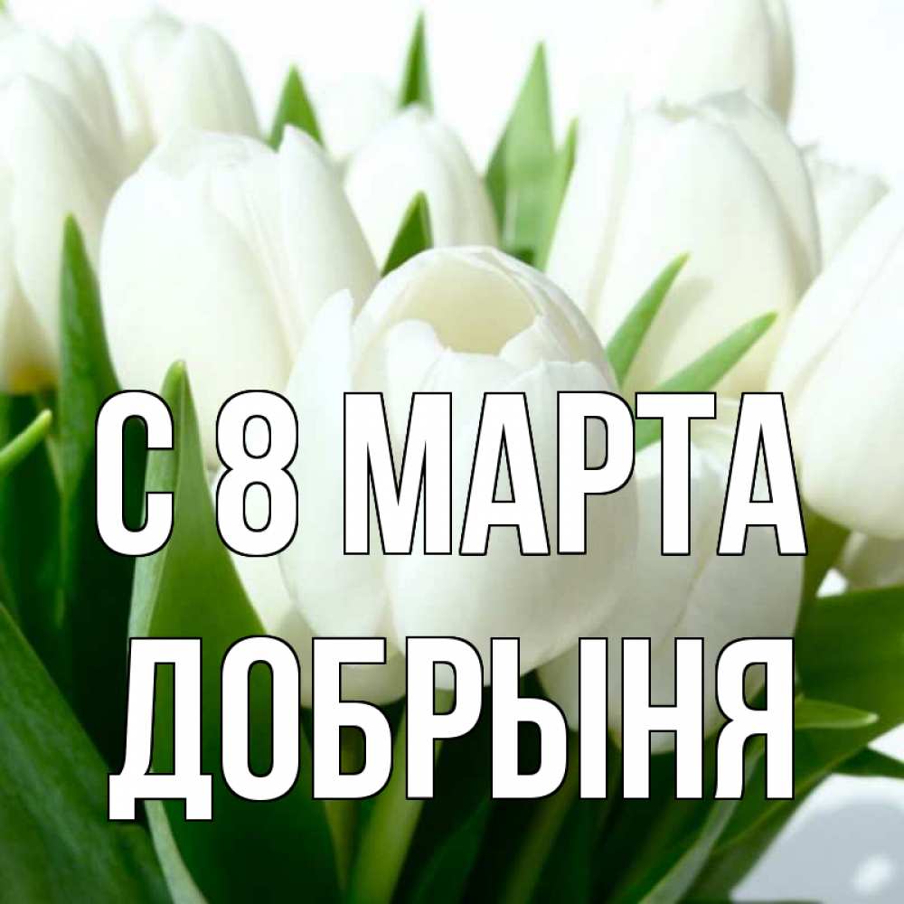 Открытка на каждый день с именем, Добрыня С 8 МАРТА цветы Прикольная открытка с пожеланием онлайн скачать бесплатно 