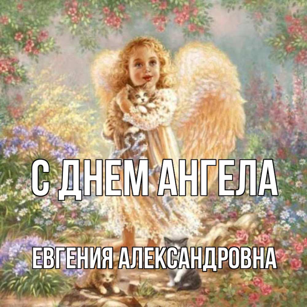 Открытка на каждый день с именем, Евгения-Александровна С днем ангела держит котенка Прикольная открытка с пожеланием онлайн скачать бесплатно 