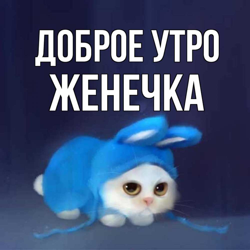 Открытка на каждый день с именем, Женечка Доброе утро открытки красивые скачать бесплатно Прикольная открытка с пожеланием онлайн скачать бесплатно 