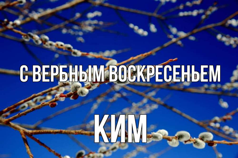 Открытка на каждый день с именем, Ким С вербным воскресеньем верба Прикольная открытка с пожеланием онлайн скачать бесплатно 