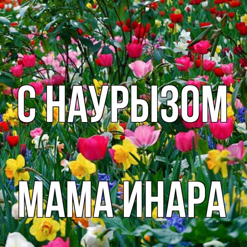 Открытка на каждый день с именем, Мама-Инара С наурызом с наурызом праздником весны поздравления для женщины Прикольная открытка с пожеланием онлайн скачать бесплатно 