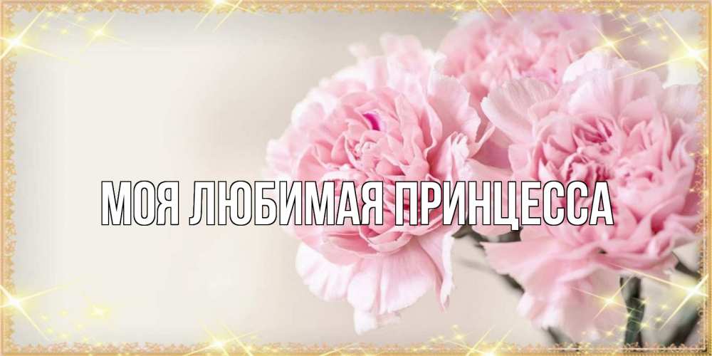 Открытка на каждый день с именем, Моя-Любимая-Принцесса Главная открытка с розовыми цветами в рамочке с подписью на 8 марта Прикольная открытка с пожеланием онлайн скачать бесплатно 
