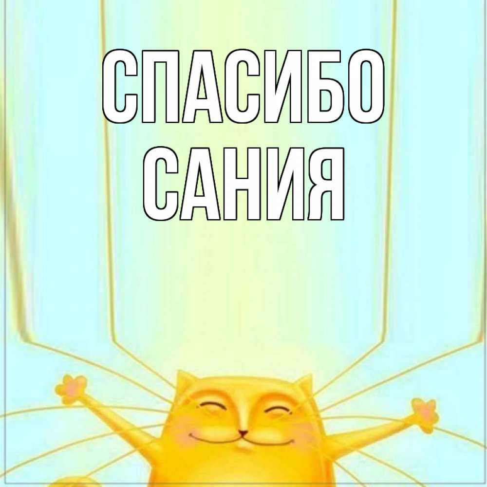 Открытка на каждый день с именем, Сания Спасибо кот с усами благодарит Прикольная открытка с пожеланием онлайн скачать бесплатно 