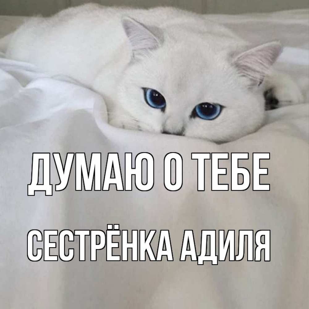 Открытка на каждый день с именем, Сестрёнка-Адиля Думаю о тебе я очень по тебе скучаю и тоскую Прикольная открытка с пожеланием онлайн скачать бесплатно 