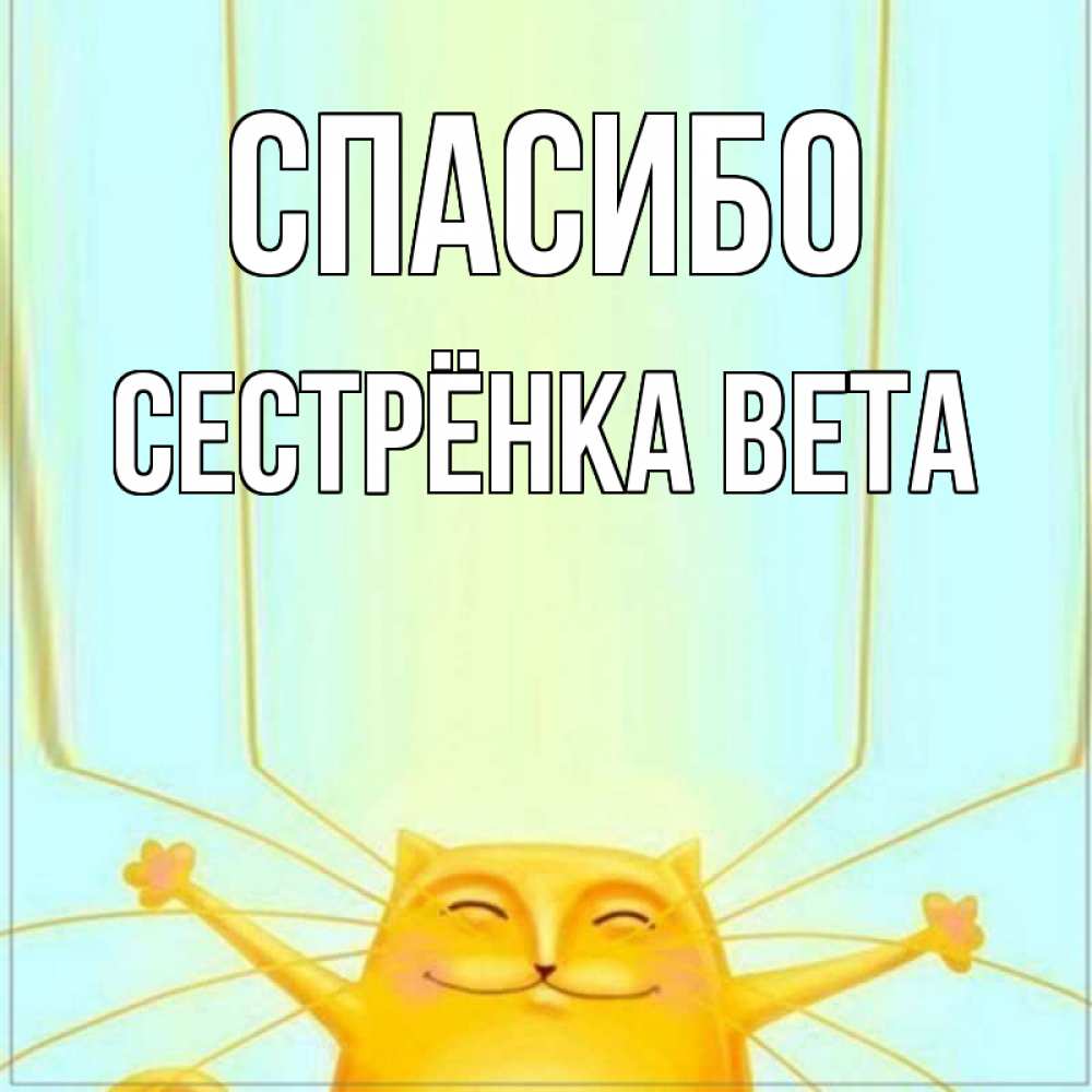 Открытка на каждый день с именем, Сестрёнка-Вета Спасибо кот с усами благодарит Прикольная открытка с пожеланием онлайн скачать бесплатно 