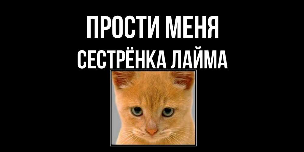 Открытка на каждый день с именем, Сестрёнка-Лайма Прости меня рыжий грустный кот просит прощения Прикольная открытка с пожеланием онлайн скачать бесплатно 
