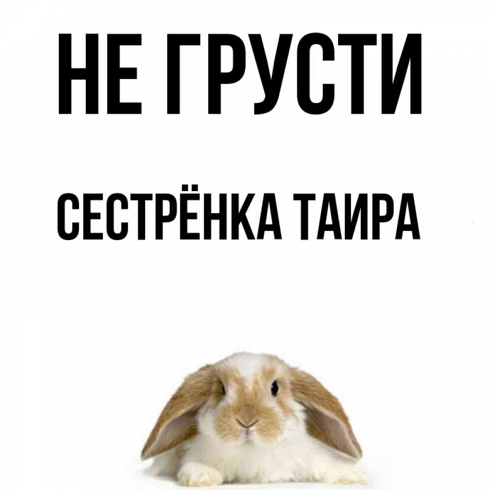 Открытка на каждый день с именем, Сестрёнка-Таира Не грусти коричнево белый заяц с большими ушками Прикольная открытка с пожеланием онлайн скачать бесплатно 