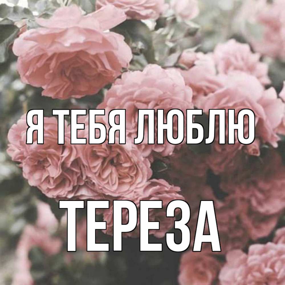 Открытка на каждый день с именем, Тереза Я тебя люблю розы 3 Прикольная открытка с пожеланием онлайн скачать бесплатно 