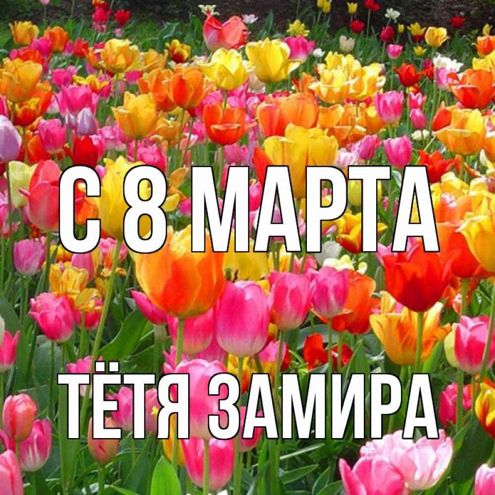 Открытка на каждый день с именем, Тётя-Замира С 8 МАРТА на международный женский день Прикольная открытка с пожеланием онлайн скачать бесплатно 