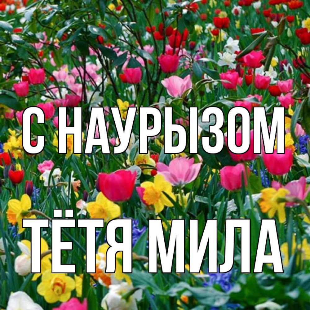 Открытка на каждый день с именем, Тётя-Мила С наурызом с наурызом праздником весны поздравления для женщины Прикольная открытка с пожеланием онлайн скачать бесплатно 