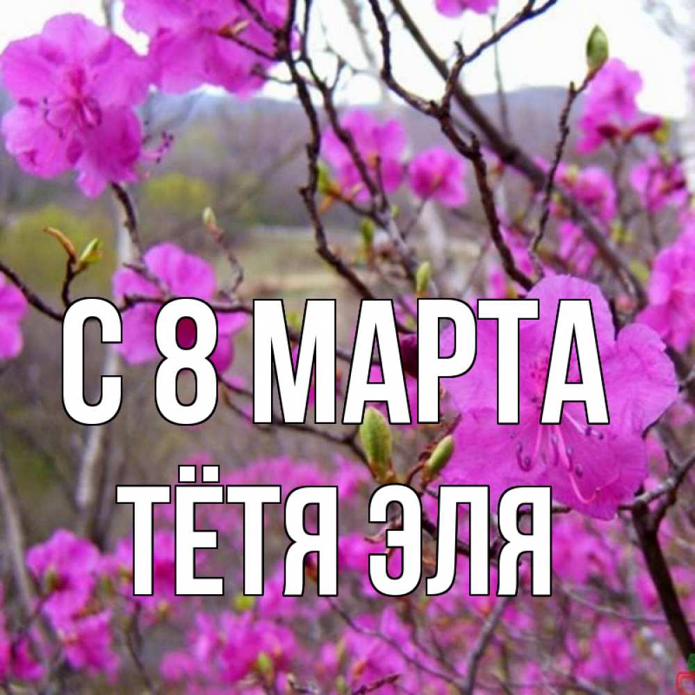 Открытка на каждый день с именем, Тётя-Эля С 8 марта международный женский день Прикольная открытка с пожеланием онлайн скачать бесплатно 