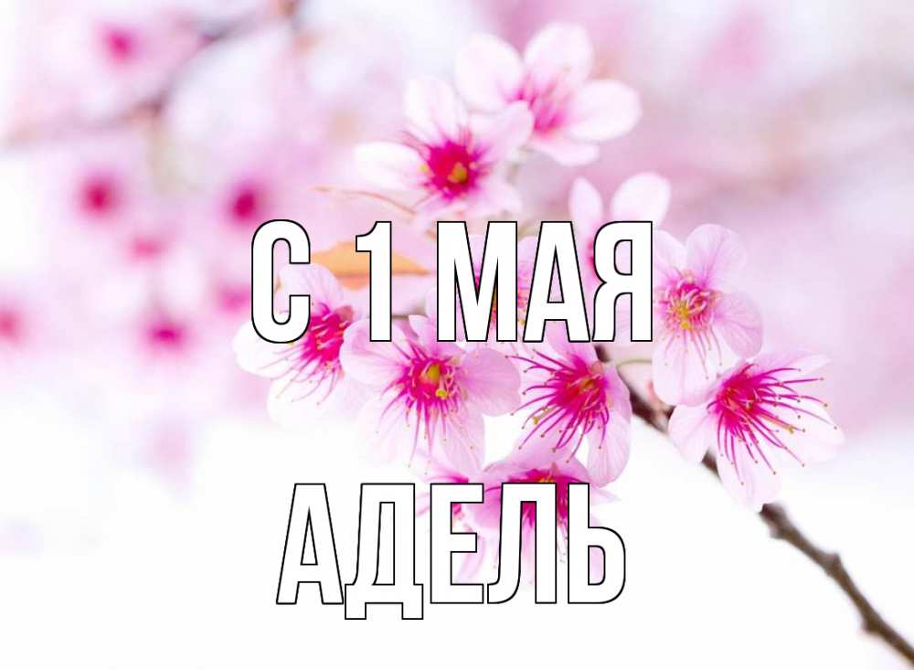 Открытка на каждый день с именем, Адель С 1 мая С 1 мая 2 Прикольная открытка с пожеланием онлайн скачать бесплатно 
