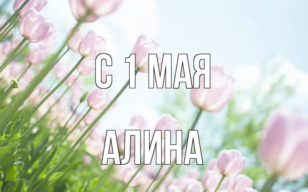 Открытка на каждый день с именем, Алина С 1 мая С 1 мая Прикольная открытка с пожеланием онлайн скачать бесплатно 