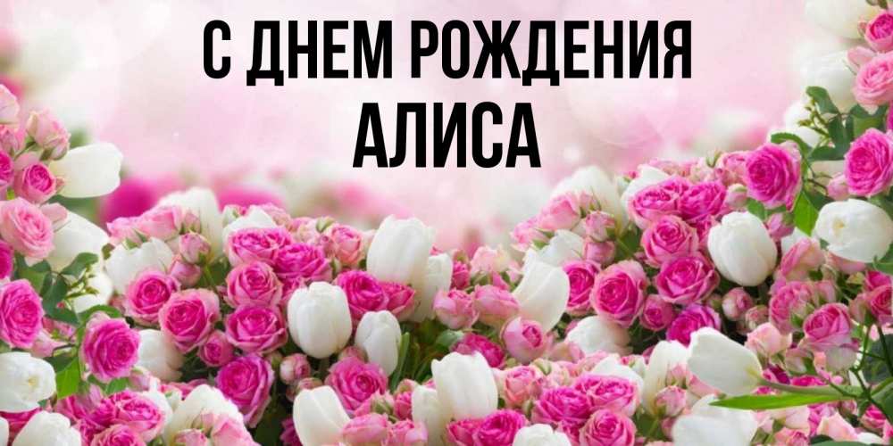 Открытка на каждый день с именем, Алиса С днем рождения открытка с разными розами Прикольная открытка с пожеланием онлайн скачать бесплатно 