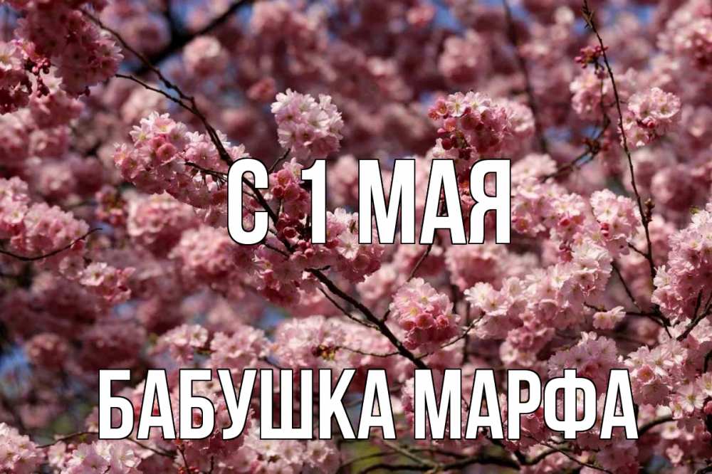 Открытка на каждый день с именем, Бабушка-Марфа С 1 мая С 1 мая Прикольная открытка с пожеланием онлайн скачать бесплатно 