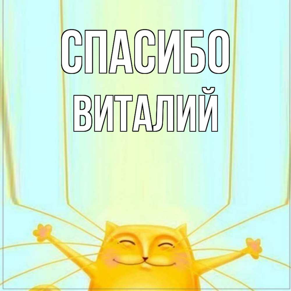 Открытка на каждый день с именем, Виталий Спасибо кот с усами благодарит Прикольная открытка с пожеланием онлайн скачать бесплатно 