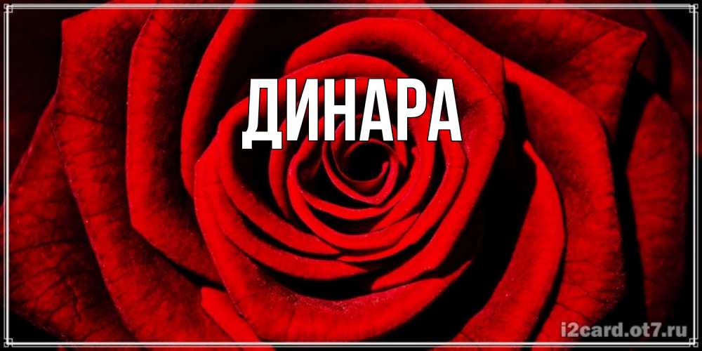 Открытка на каждый день с именем, Динара Главная алая роза Прикольная открытка с пожеланием онлайн скачать бесплатно 