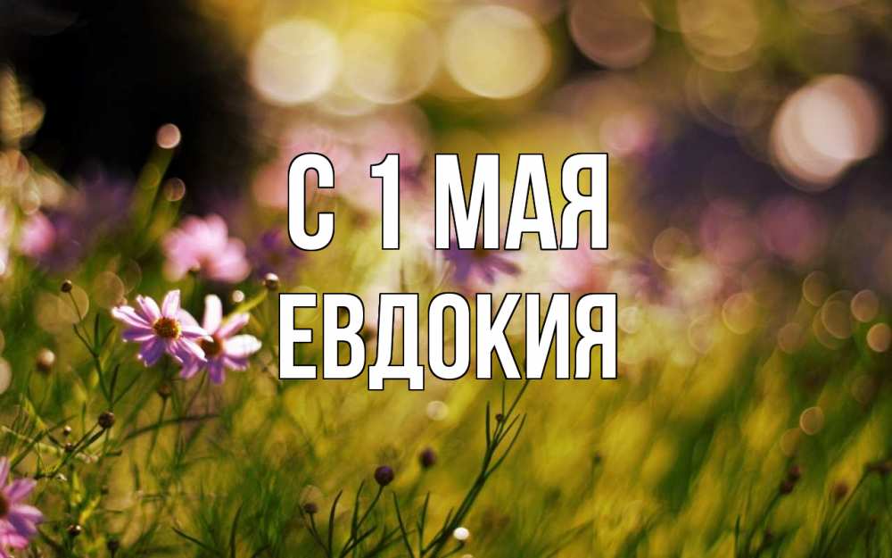 Открытка на каждый день с именем, Евдокия С 1 мая С 1 мая Прикольная открытка с пожеланием онлайн скачать бесплатно 