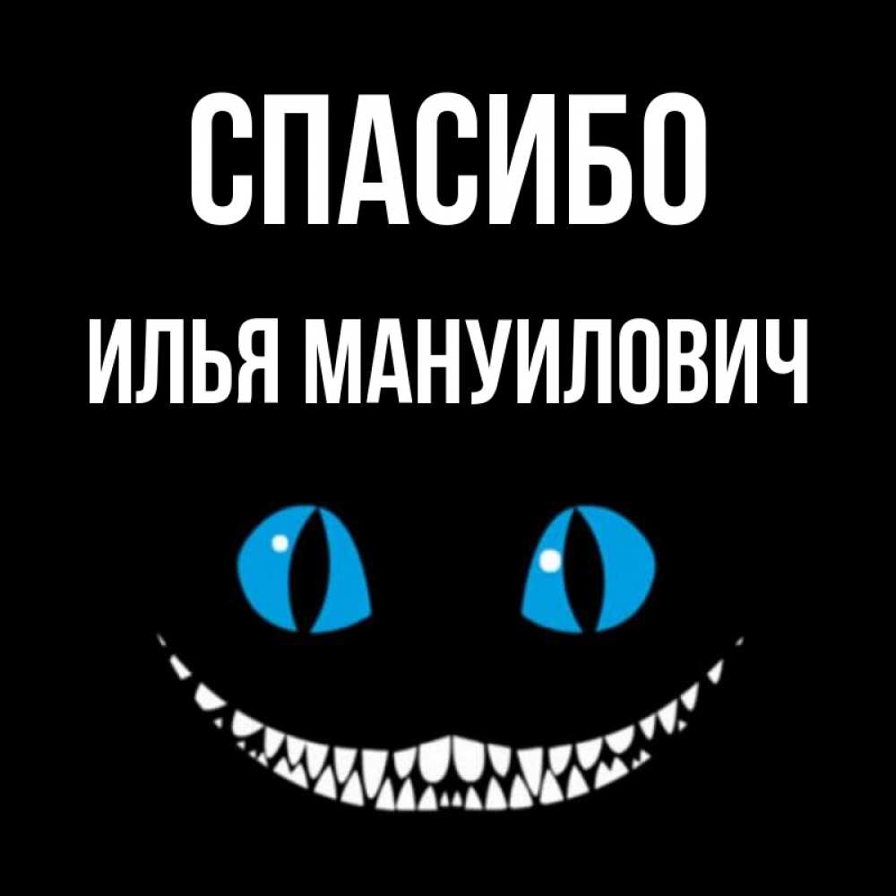 Спасибо Илья За Что