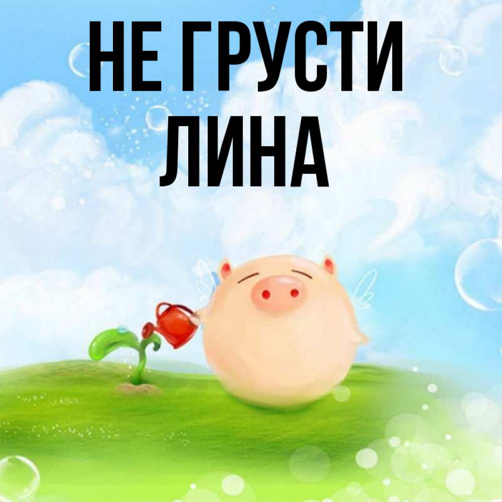 Открытка на каждый день с именем, Лина Не грусти поливает цветок порося Прикольная открытка с пожеланием онлайн скачать бесплатно 