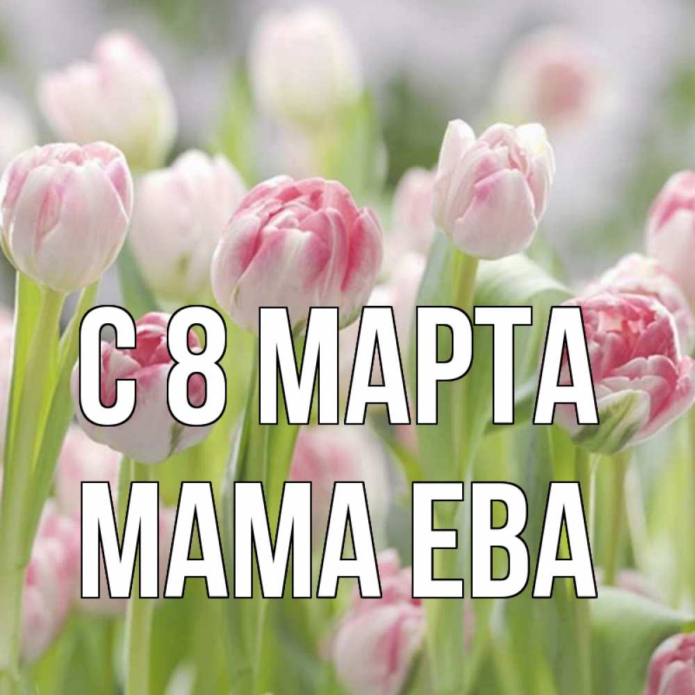 Открытка на каждый день с именем, Мама-Ева С 8 МАРТА цветы Прикольная открытка с пожеланием онлайн скачать бесплатно 