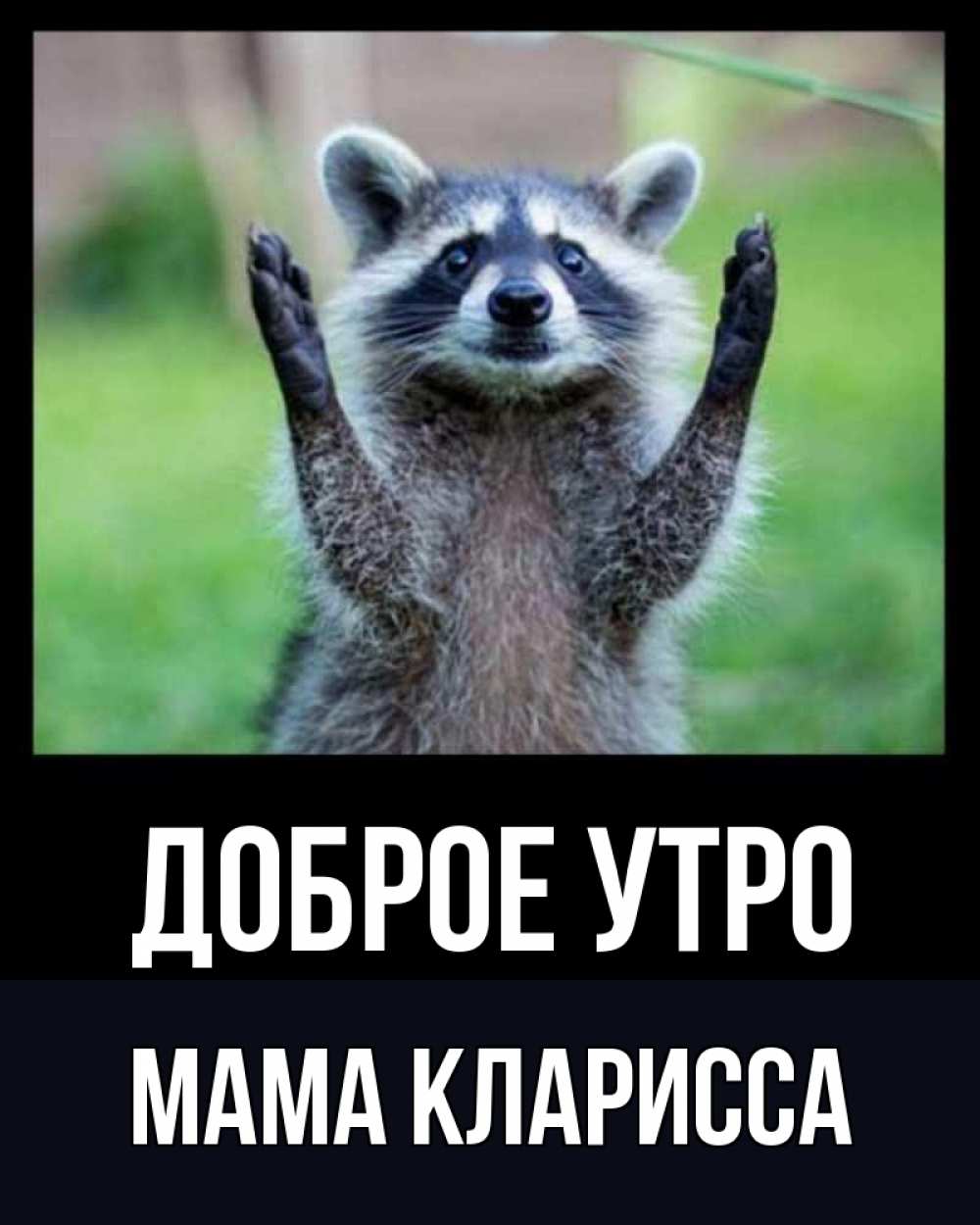Открытка на каждый день с именем, Мама-Кларисса Доброе утро хорошее настроение утречком Прикольная открытка с пожеланием онлайн скачать бесплатно 