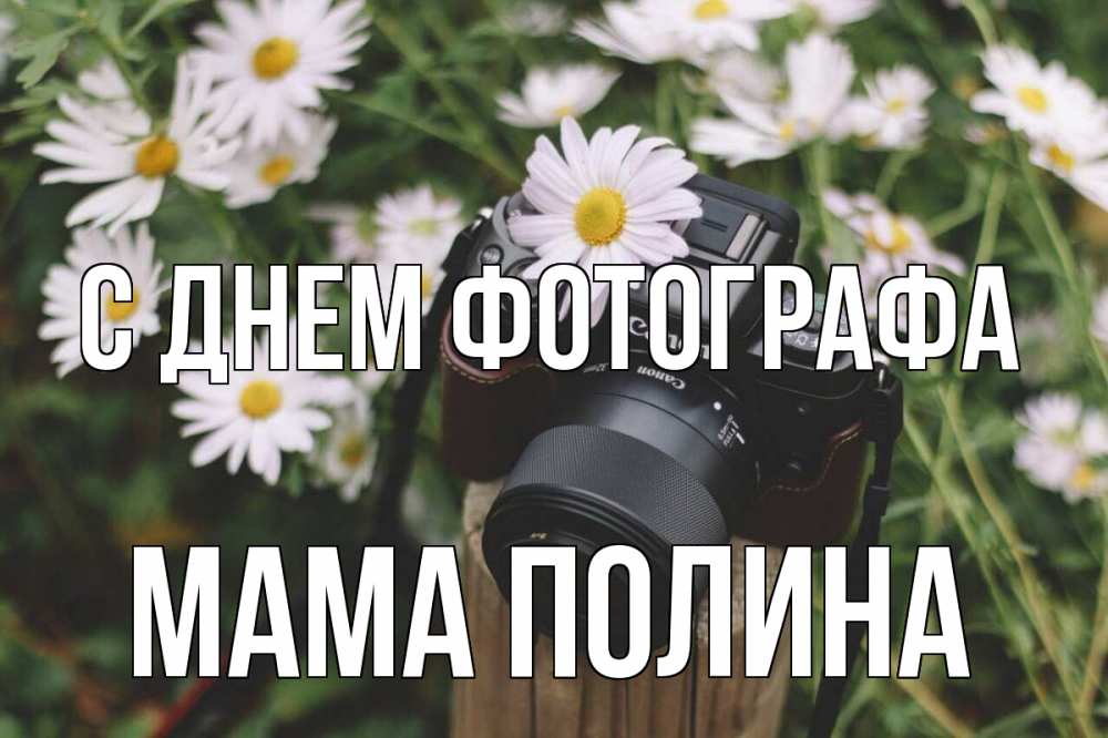 Открытка на каждый день с именем, Мама-Полина С днем фотографа с днем фотографа Прикольная открытка с пожеланием онлайн скачать бесплатно 