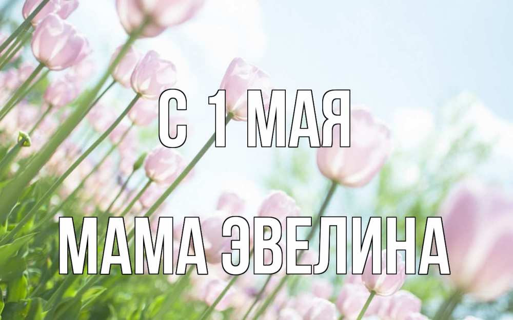 Открытка на каждый день с именем, Мама-Эвелина С 1 мая С 1 мая Прикольная открытка с пожеланием онлайн скачать бесплатно 