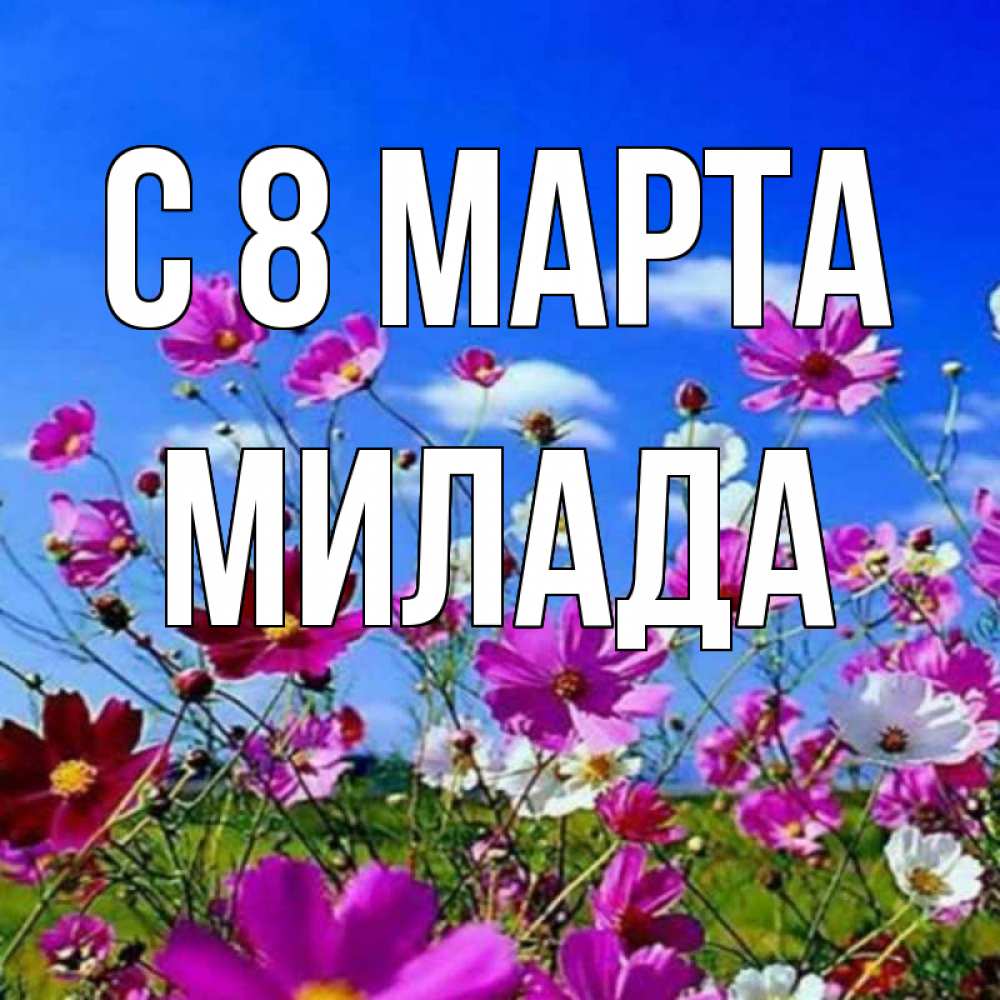 Открытка на каждый день с именем, Милада С 8 МАРТА цветы Прикольная открытка с пожеланием онлайн скачать бесплатно 