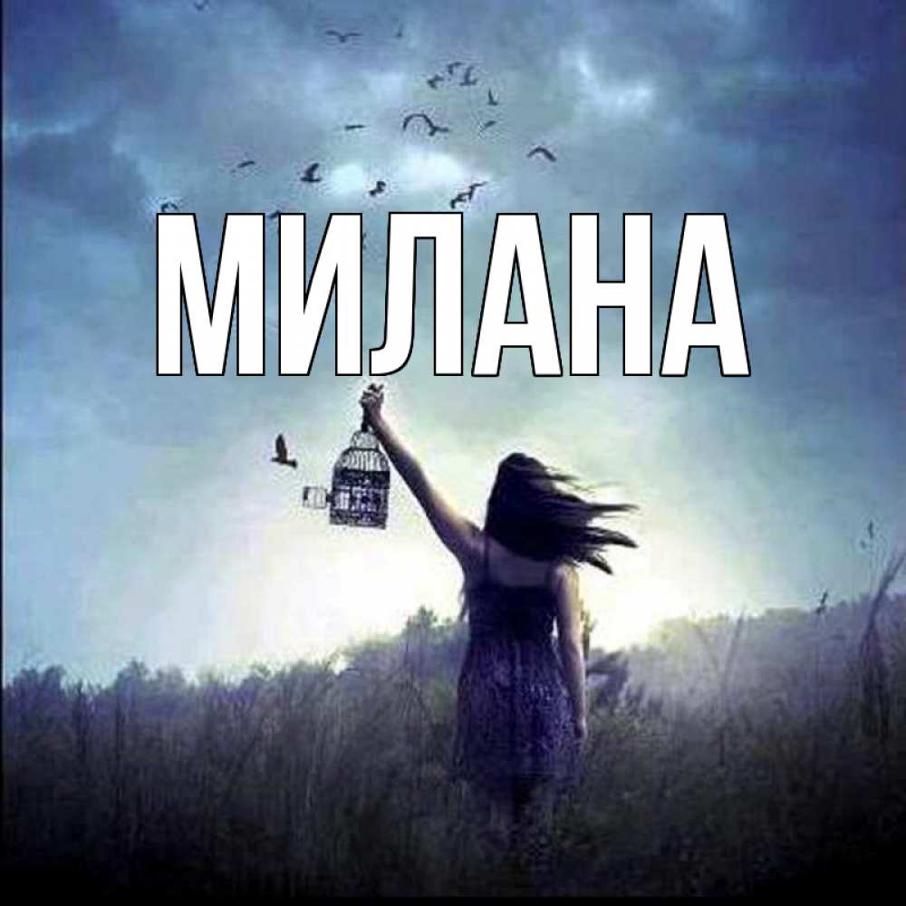 Открытка на каждый день с именем, Милана Главная на волю Прикольная открытка с пожеланием онлайн скачать бесплатно 