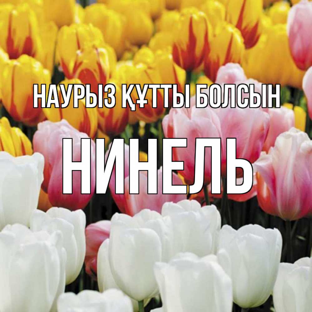 Открытка на каждый день с именем, Нинель Наурыз құтты болсын разноцветные цветы Прикольная открытка с пожеланием онлайн скачать бесплатно 