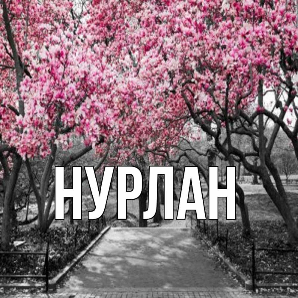 Открытка на каждый день с именем, Нурлан Главная обработанное фото Прикольная открытка с пожеланием онлайн скачать бесплатно 