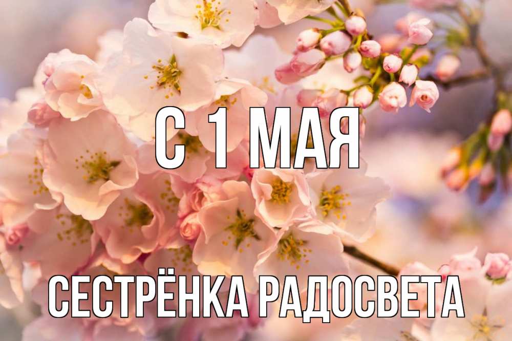 Открытка на каждый день с именем, Сестрёнка-Радосвета С 1 мая С 1 мая Прикольная открытка с пожеланием онлайн скачать бесплатно 