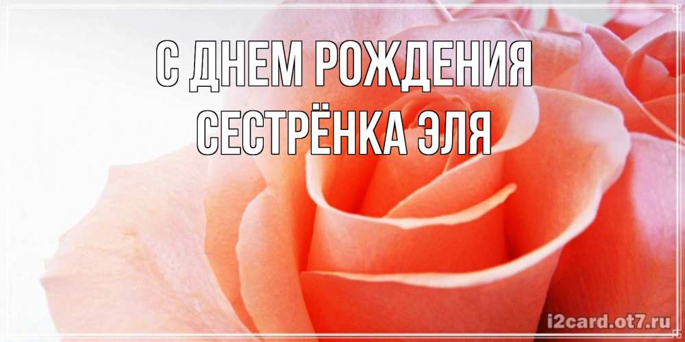 Открытка на каждый день с именем, Сестрёнка-Эля С днем рождения розы для поздравления с днем рождения Прикольная открытка с пожеланием онлайн скачать бесплатно 