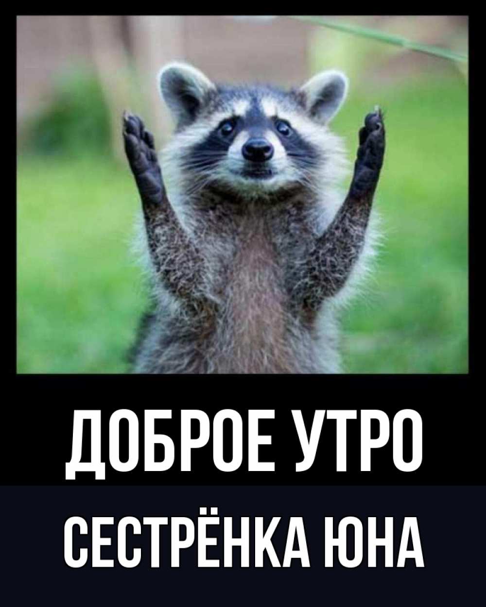 Открытка на каждый день с именем, Сестрёнка-Юна Доброе утро хорошее настроение утречком Прикольная открытка с пожеланием онлайн скачать бесплатно 